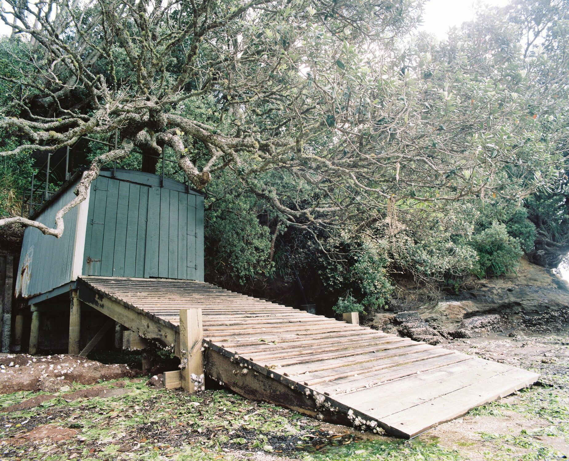 A boathouse under a tree nestled between the rocks