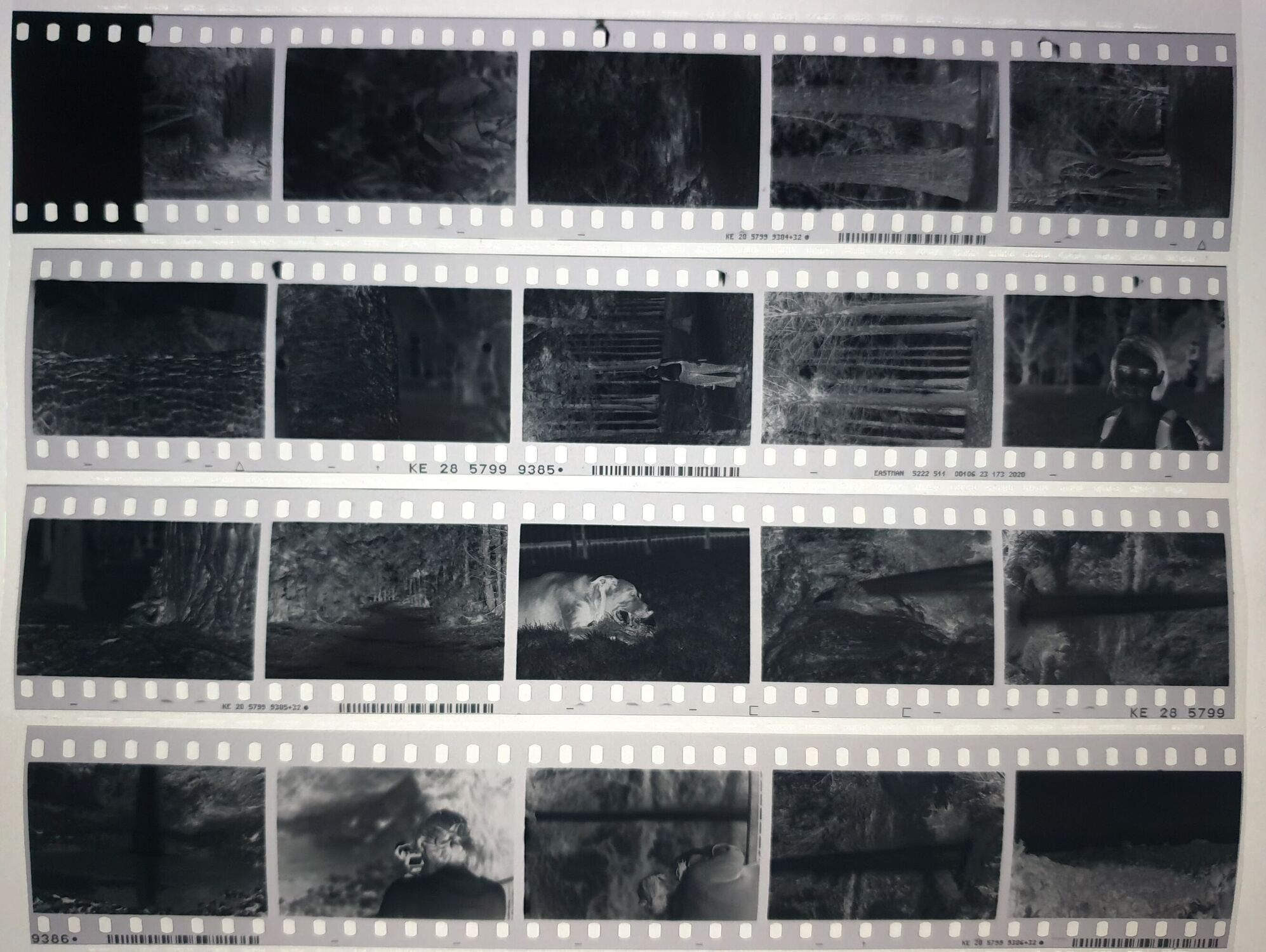Negatives mostly properly exposed