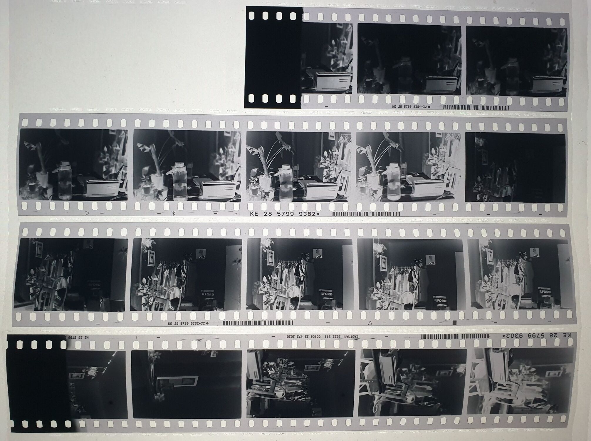 Negatives from my first roll of Double-X